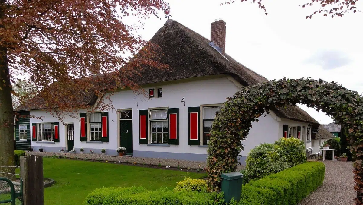 Market Value vs. Replacement Cost: Decoding Home Insurance Valuation